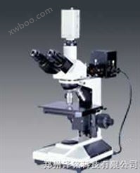 正置金相显微镜