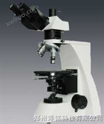三目偏光显微镜