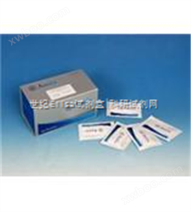 牛载脂蛋白B100（apo-B100）ELISA试剂盒