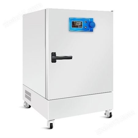 精密型电热恒温 ( 鼓风 ) 干燥箱HGZN-Y型