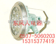 科学仪器矿用隔爆型LED投光灯DGS54/127L（A）