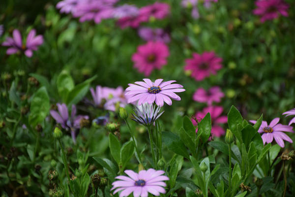 汉中市生态环境局开展土壤重点监管单位隐患排查及自行监测质量核查工作