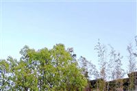 深化碳市场国际交流合作 推动构建公平合理、合作共赢的全球气候治理体系