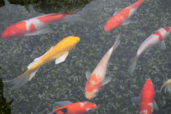 国家级自然保护区生态环保成效现场评估全部完成