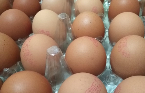 鸡蛋便宜了，精深加工有什么好出路？
