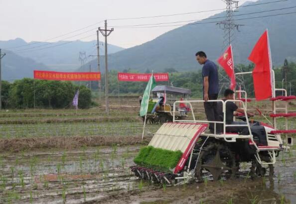 三明：引领示范新机具新技术，推动水稻制种全程机械化